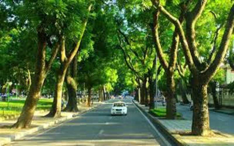 Phong Thủy Về Hướng Nhà Ở Tuổi Hợp Hướng Cần Lưu Ý